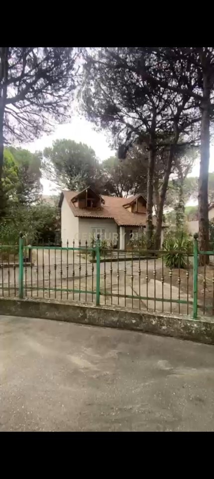 Shesim Vile te vogel mes pishave ne Qeret!