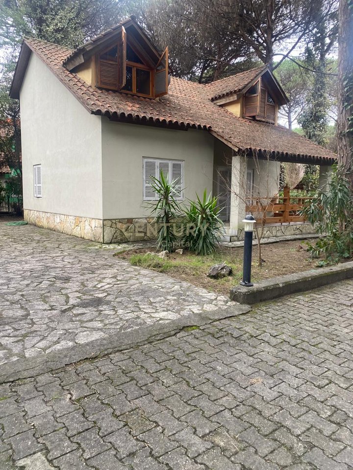 Shesim Vile te vogel mes pishave ne Qeret!