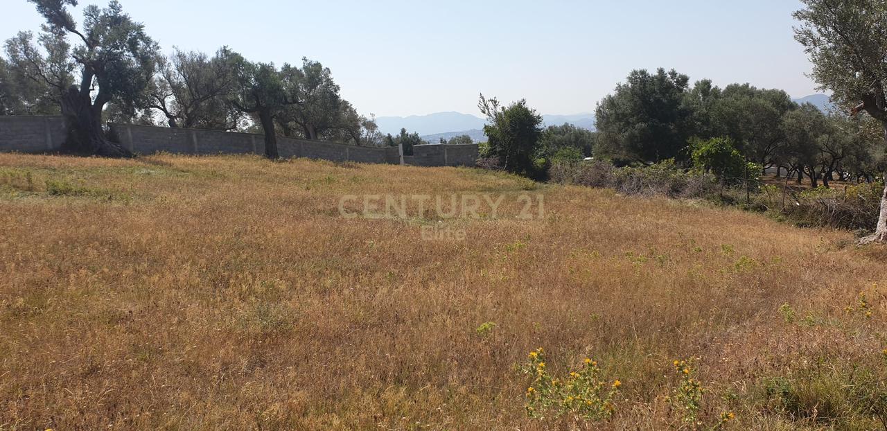 Shitet toke ne koder babrru