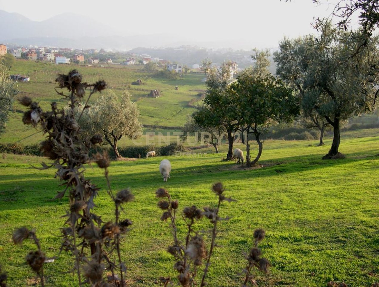 SALE | Enclosed Land in Farkë e Vogël – Ideal for Villa