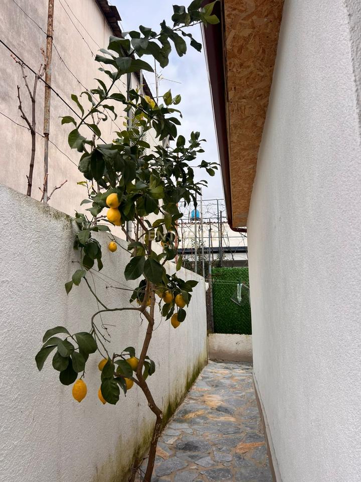 SHITET SHTËPI PRIVATE 1+1 ME AMBIENT KOMERCIAL TEK TRESHI