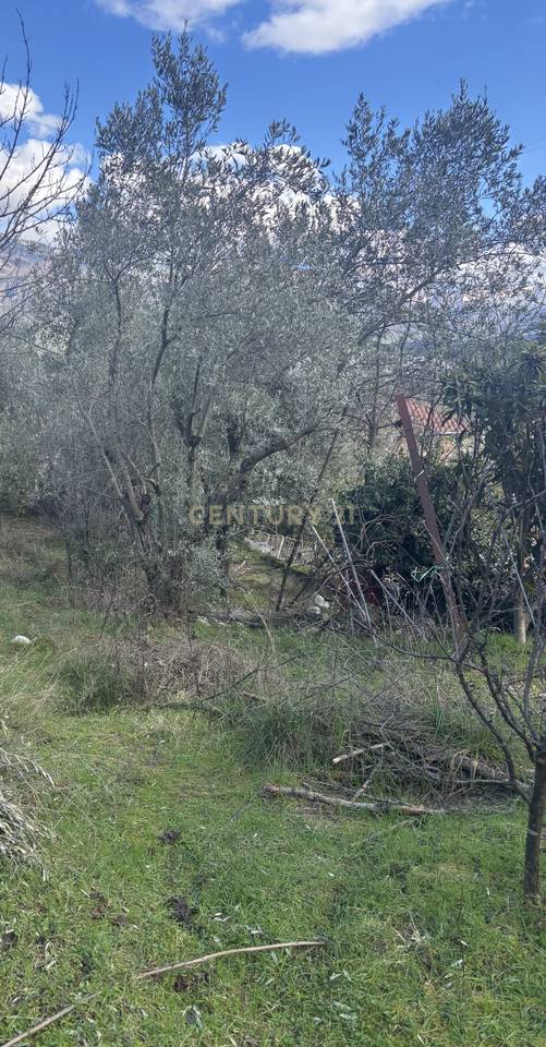 SHITET TOKË (ULLISHTE) 680 m² NË BABRRU – ME DOKUMENTACION TË RREGULLT *ZONE E KUQE*