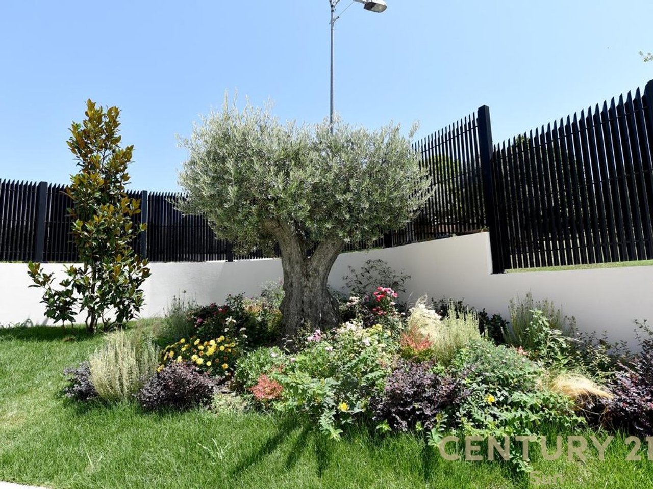 VILE ELITARE PER QIRA!