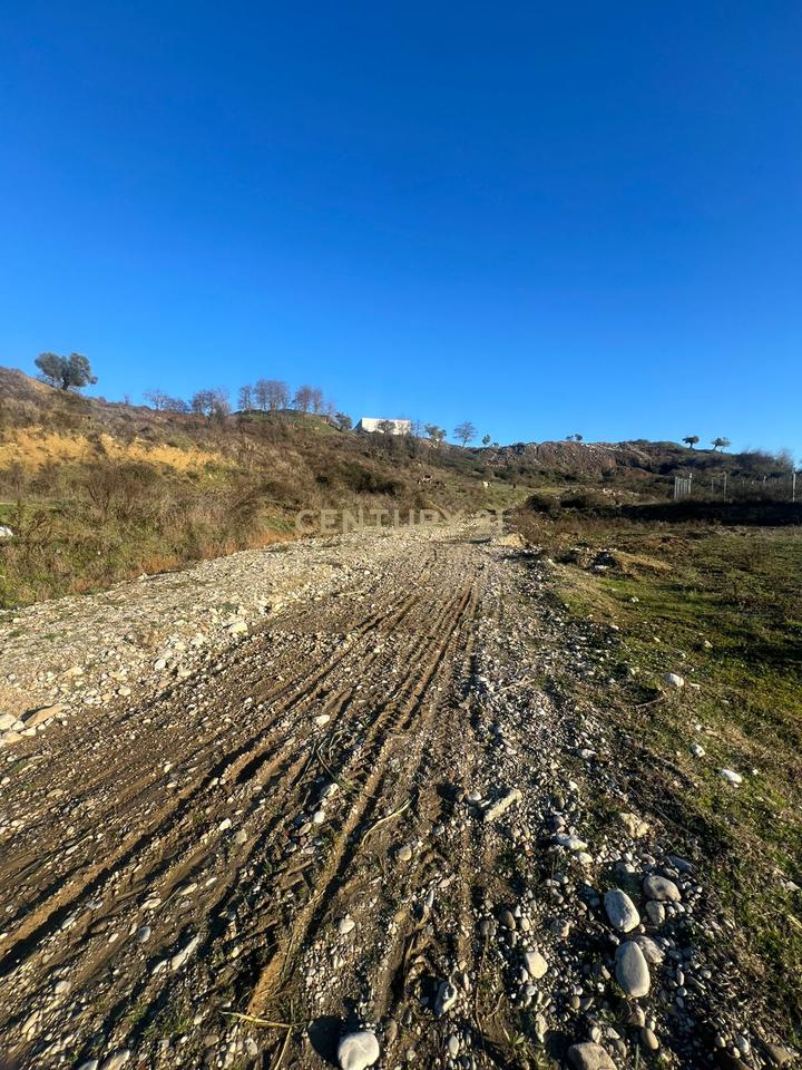 Shitet toke ne Yzberisht