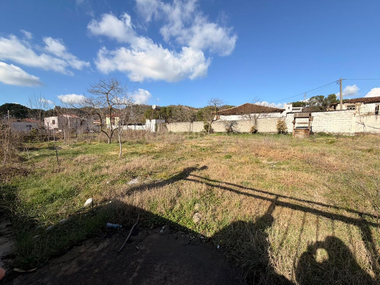 Shesim Toke Trual+ Are in the zone of Mullet!