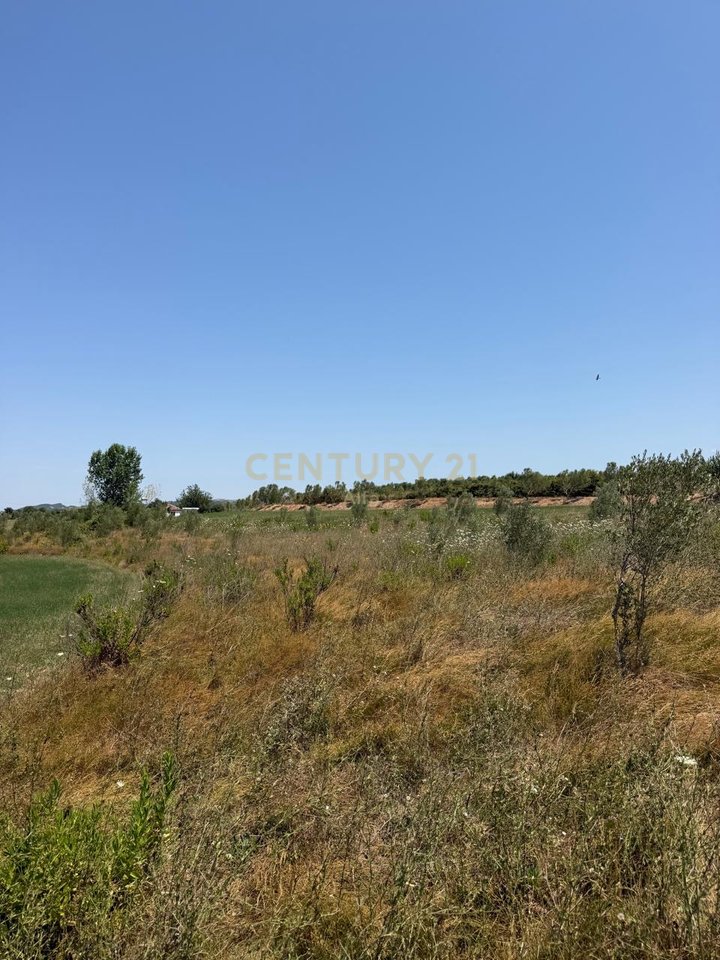 SHITET TOKË NË MANËZ – MUNDËSI IDEALE PËR AGROTURIZËM &amp; INVESTIM!