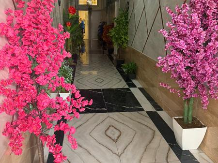 Appartamento 1+1 in affitto a Ali Demi, Tirana