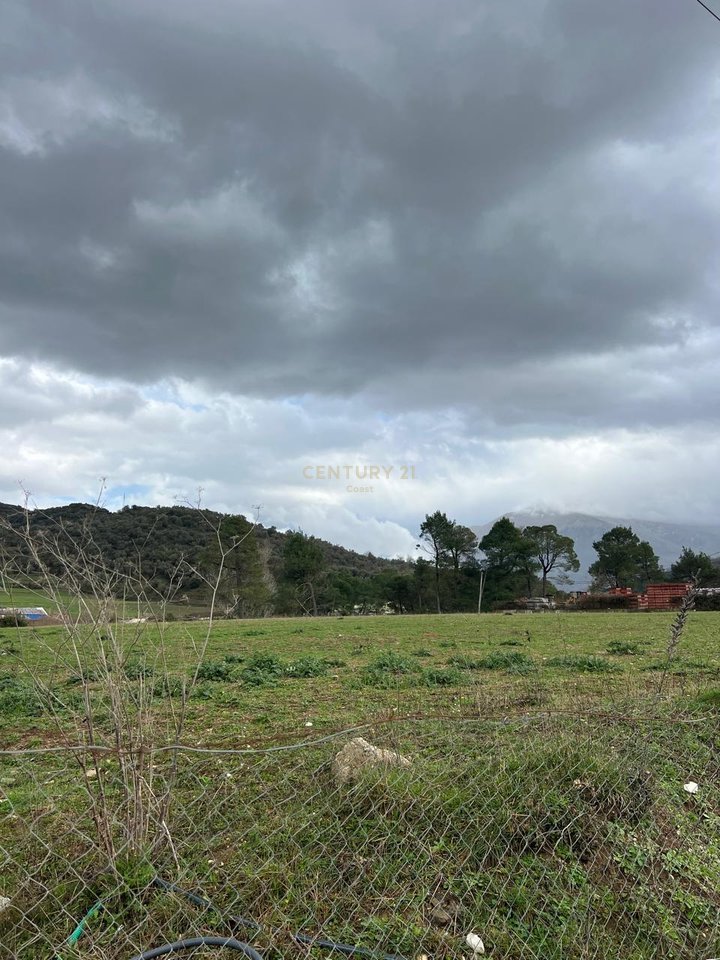 Shitet 9,700 m² Tokë në Kotë – Akses direkt në Bypass-i i Vlorës