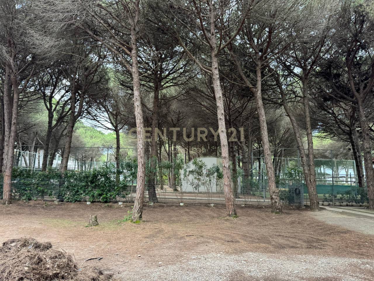 2+1 Apartment for Sale at Marea Residence, Qerret!