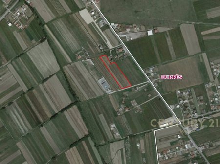 TOKE ARE PER SHITJE NE ZONEN FLLAKE SHUME PRANE AUTOSTRADES !!!