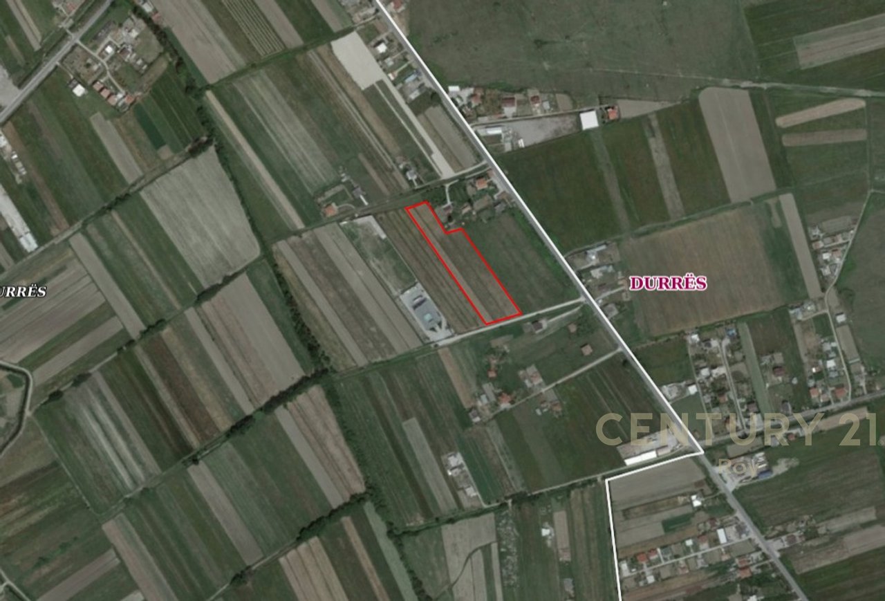 TOKE ARE PER SHITJE NE ZONEN FLLAKE SHUME PRANE AUTOSTRADES !!!