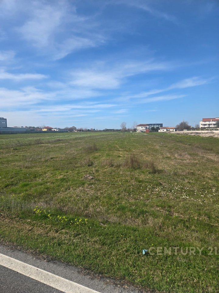 TOKE ARE PER SHITJE NE ZONEN FLLAKE SHUME PRANE AUTOSTRADES !!!