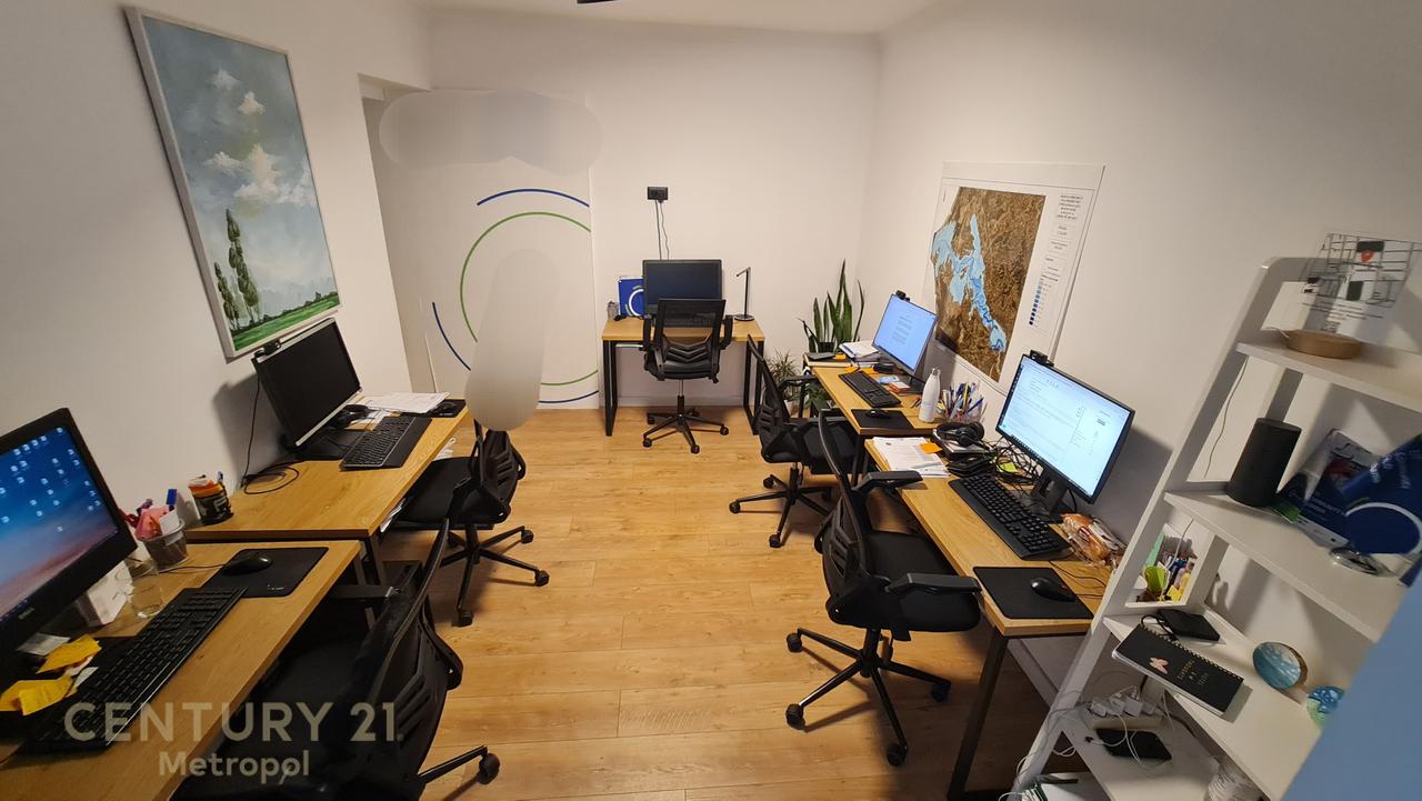 OFROHET PER SHITJE AMBIENT PER ZYRE OSE BANIM-SHESHI WILLSON!