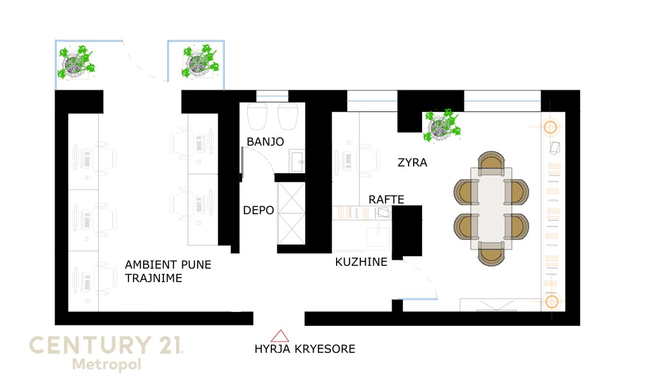 OFROHET PER SHITJE AMBIENT PER ZYRE OSE BANIM-SHESHI WILLSON!
