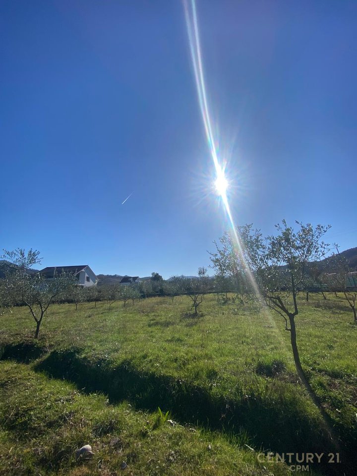 Land for Sale near the Village of Tagan, Petrelë area