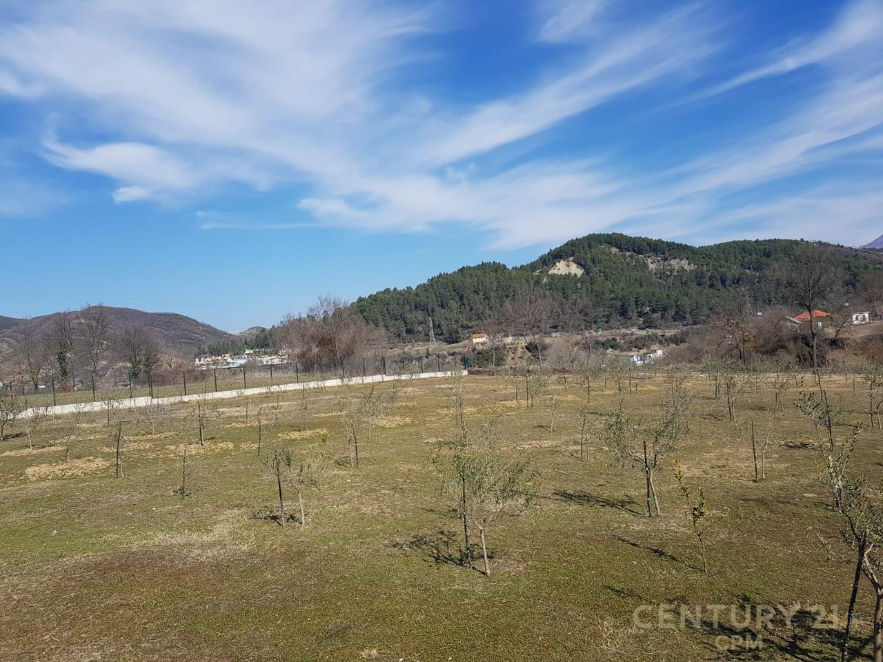 Land for Sale near the Village of Tagan, Petrelë area