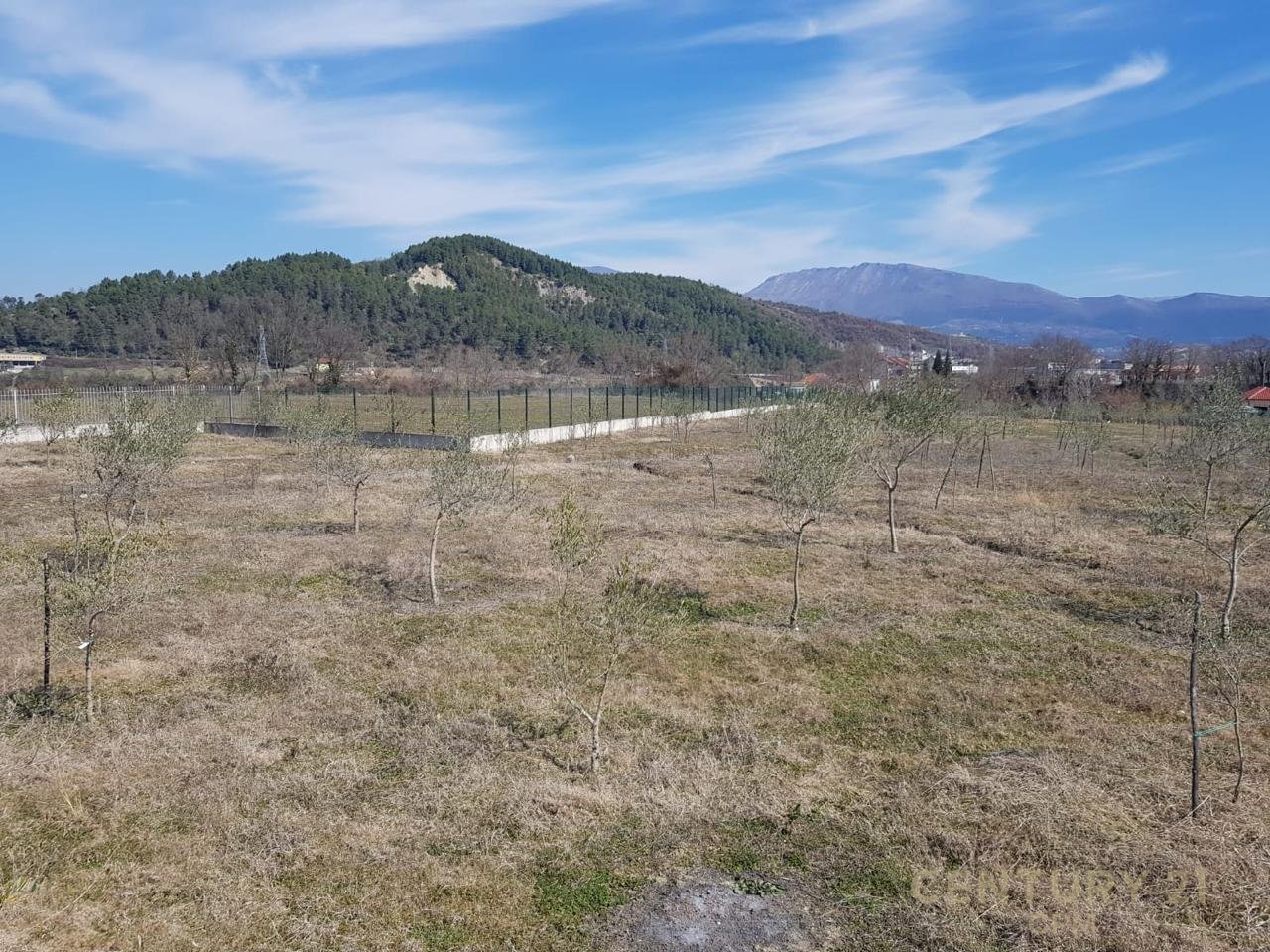 Land for Sale near the Village of Tagan, Petrelë area