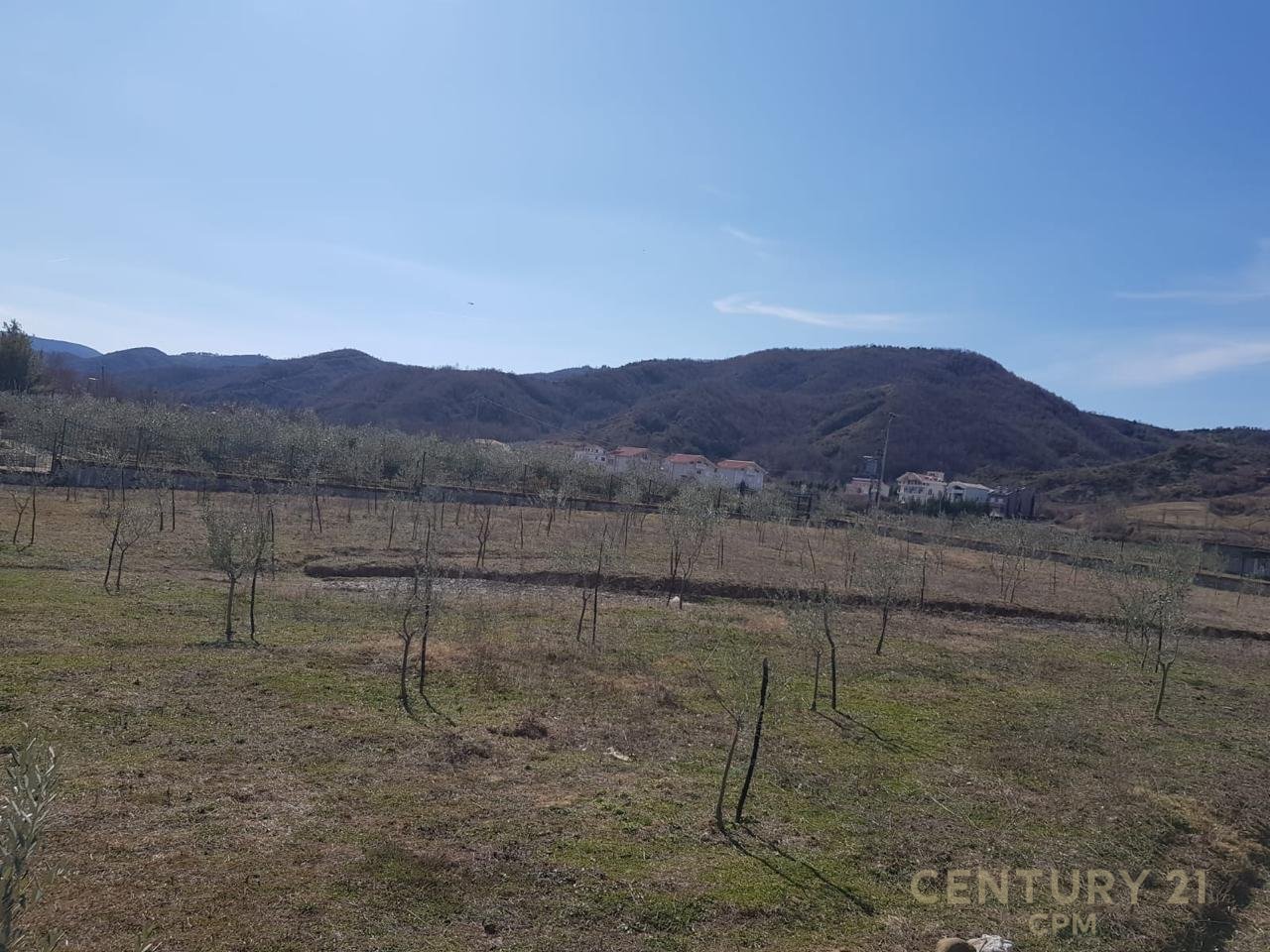 Land for Sale near the Village of Tagan, Petrelë area