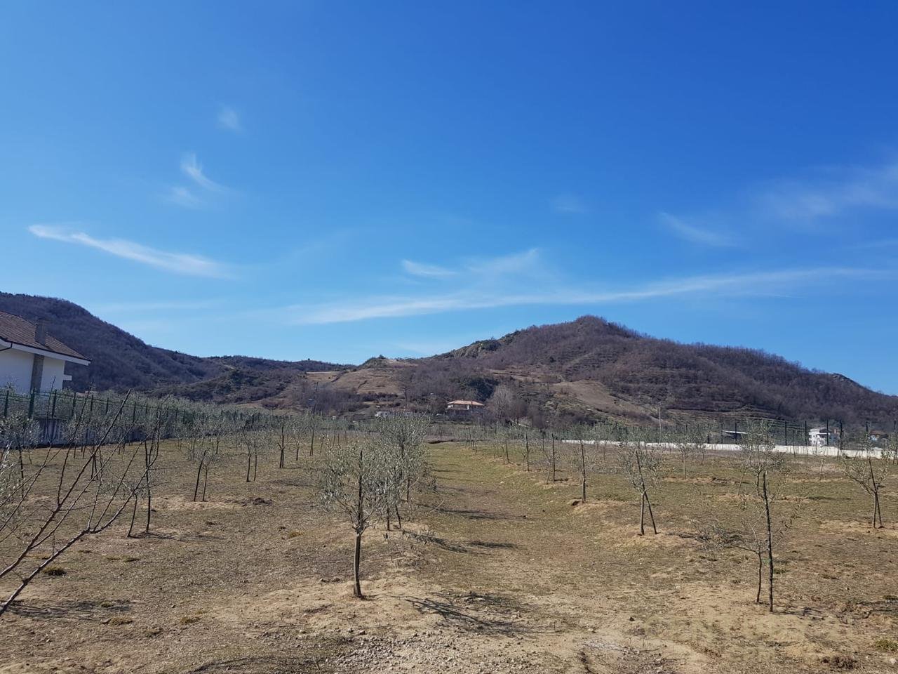 Land for Sale near the Village of Tagan, Petrelë area