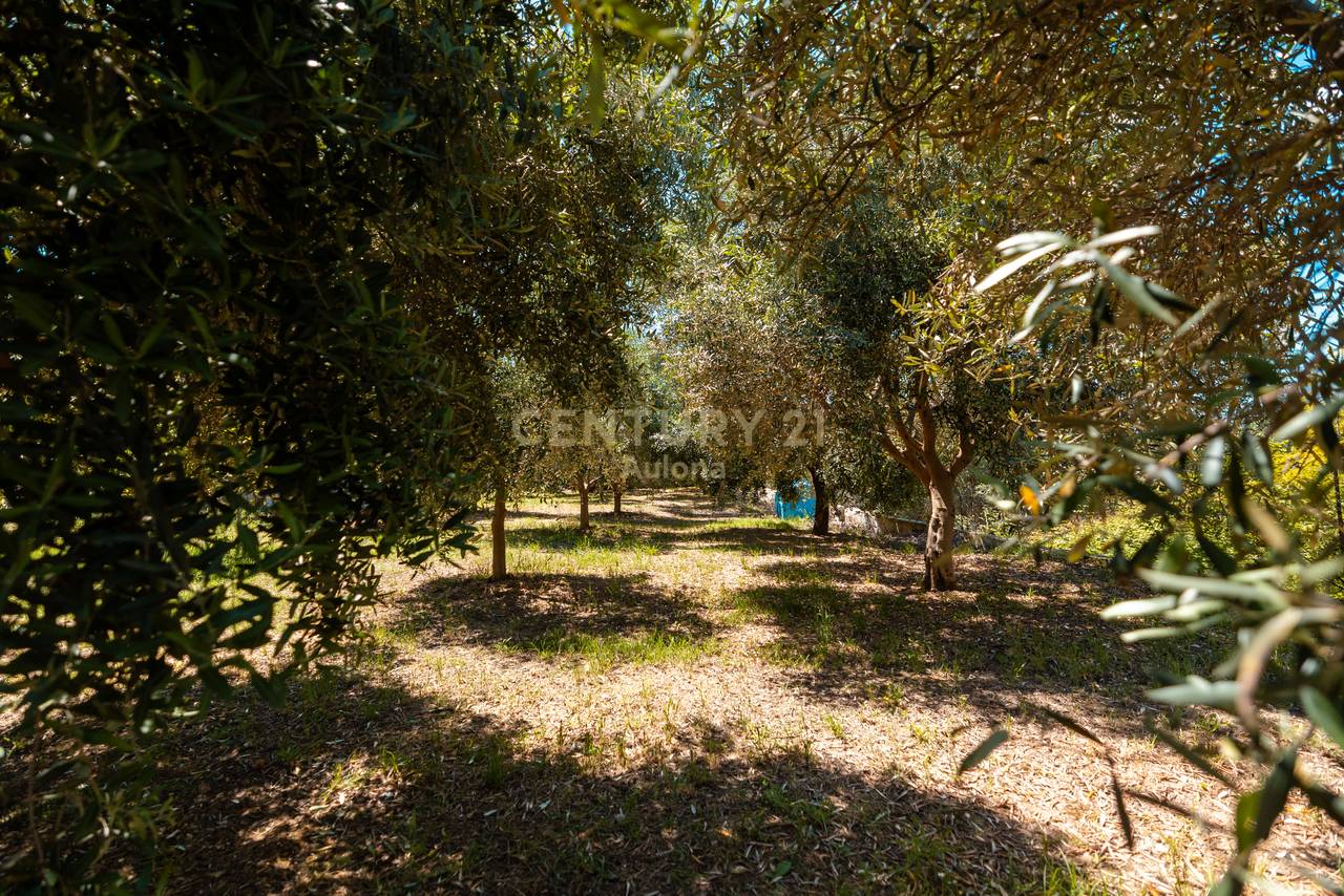 CASA PRIVATA IN VENDITA A TRAGJAS