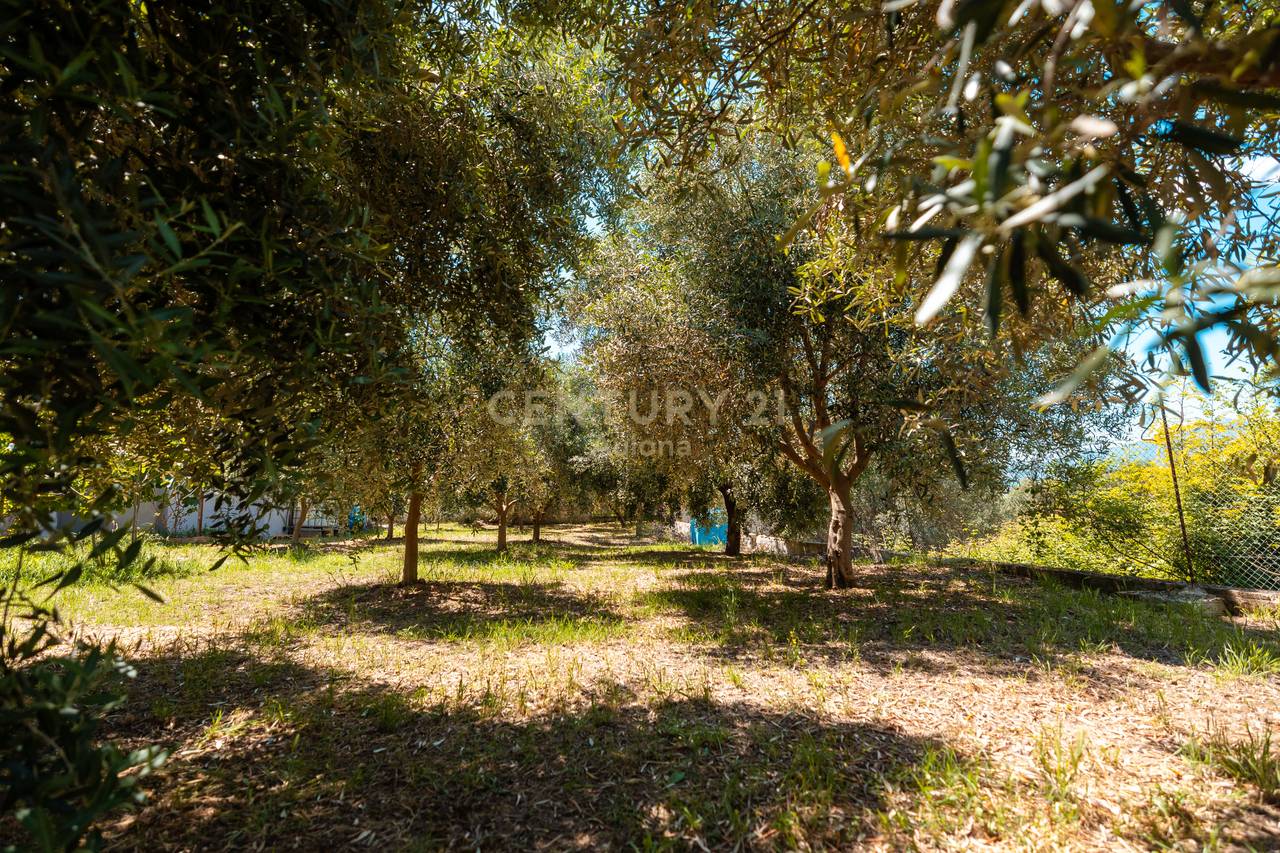 CASA PRIVATA IN VENDITA A TRAGJAS