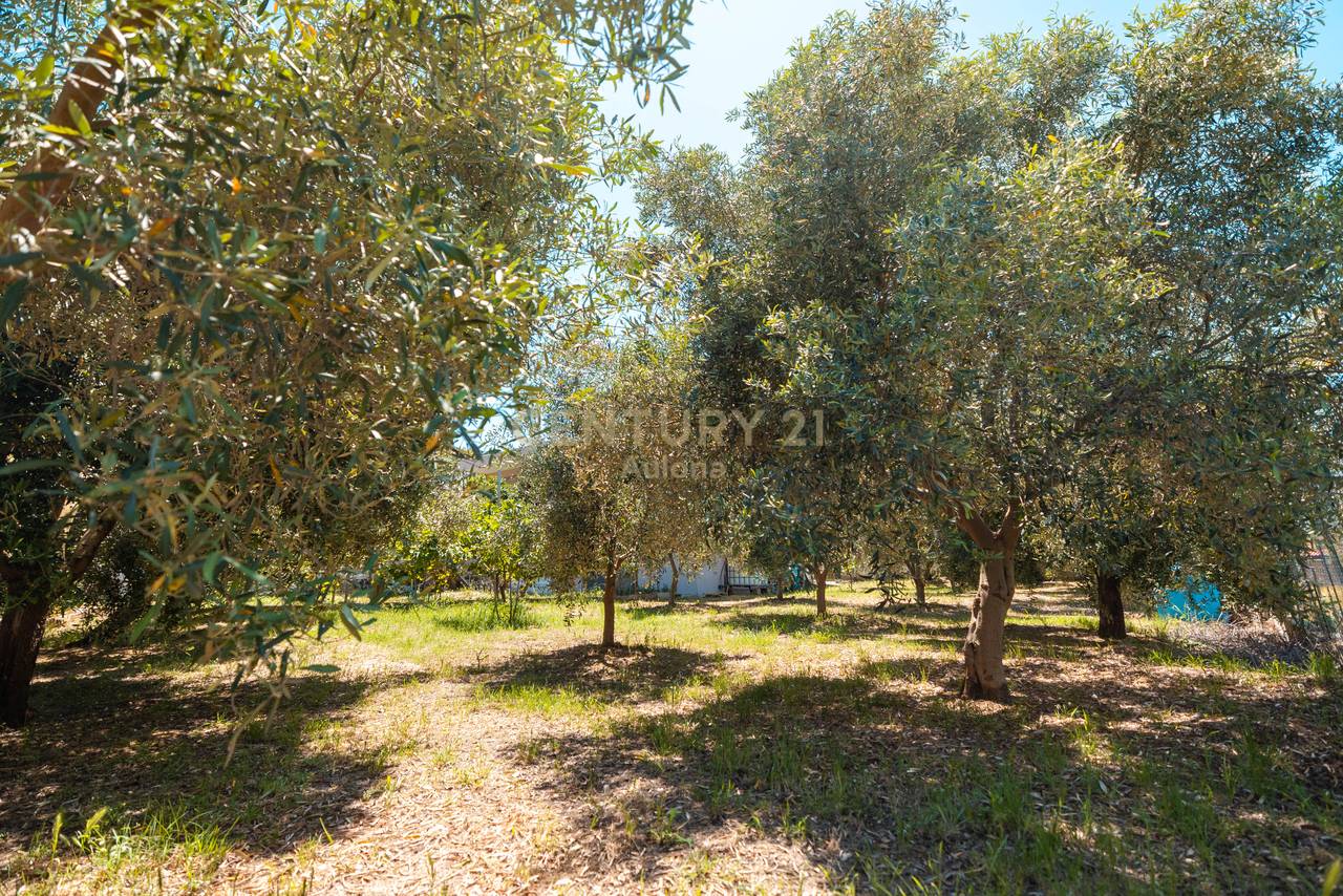 CASA PRIVATA IN VENDITA A TRAGJAS