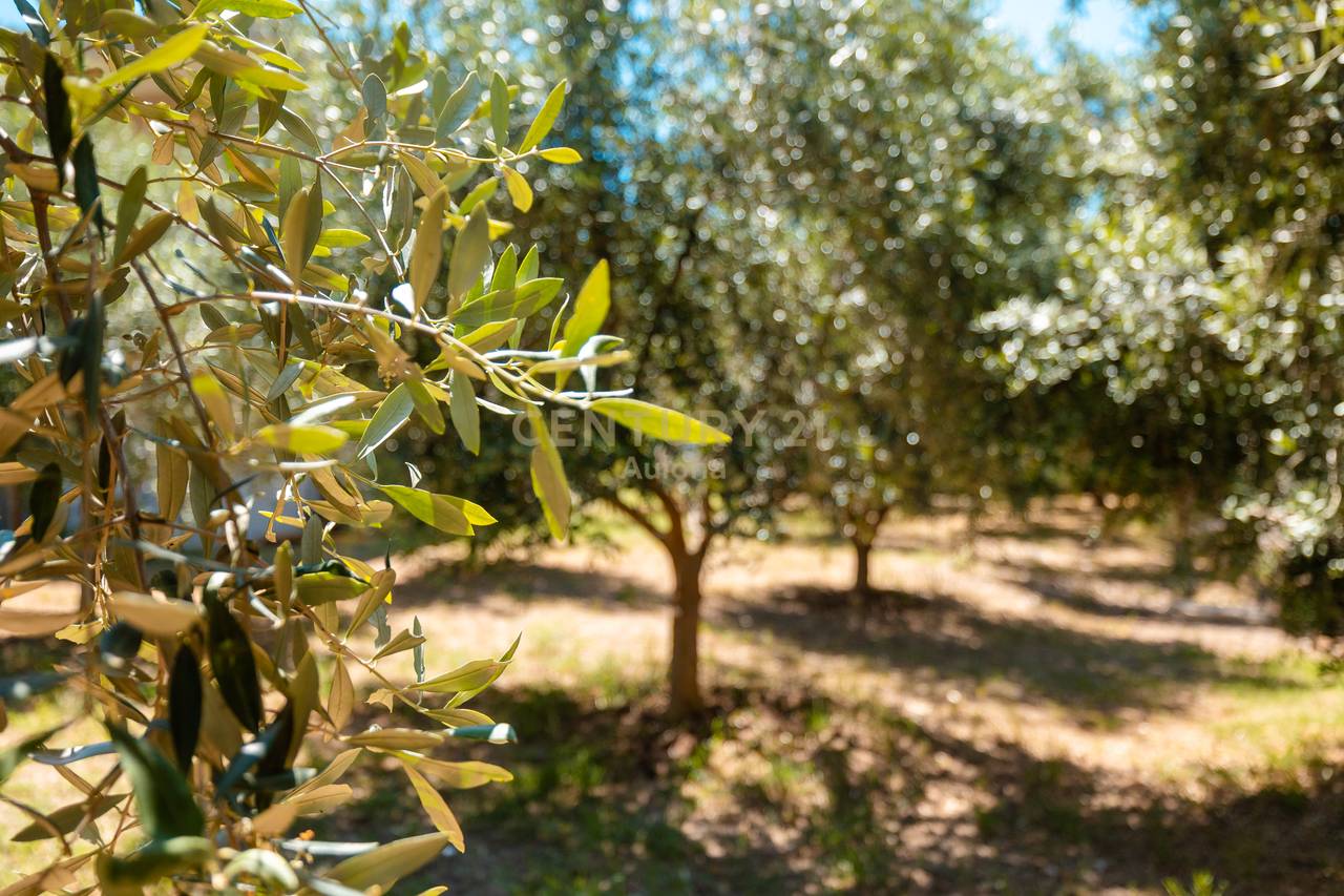 CASA PRIVATA IN VENDITA A TRAGJAS