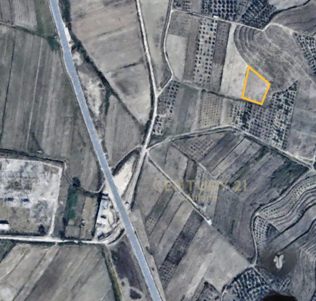 Tokë Ullishte për Shitje pranë Bypass-it, Vlorë