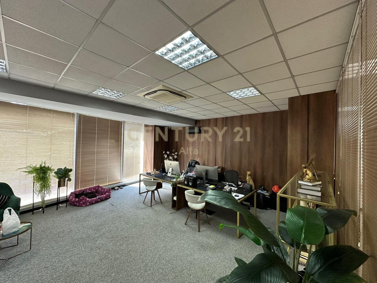 Office space for rent at Hilton, near Delijorgji – Tirana