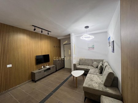 1+1 apartment for rent in Selite