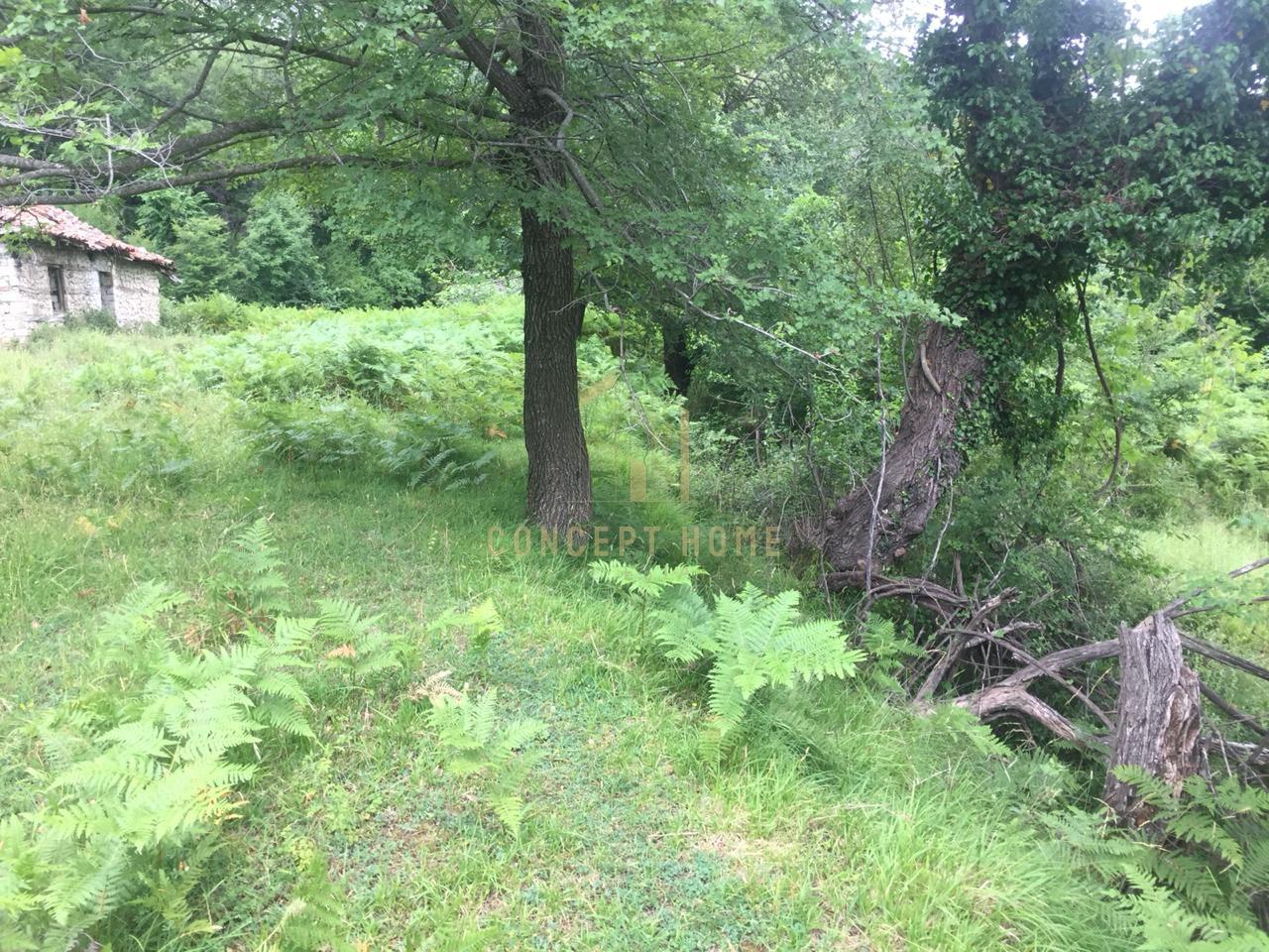 Terreno in vendita a Linzë, Tirana - €90.000 | 1200 m²