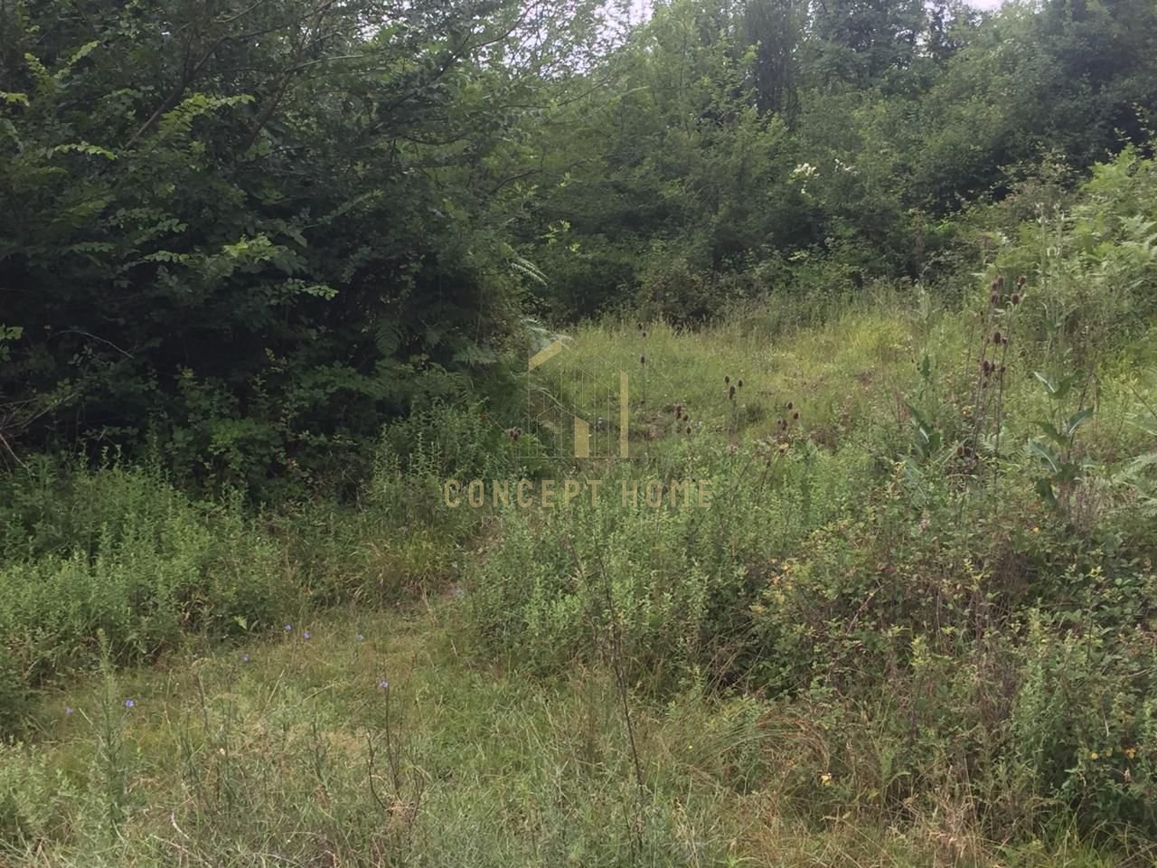 Terreno in vendita a Linzë, Tirana - €90.000 | 1200 m²