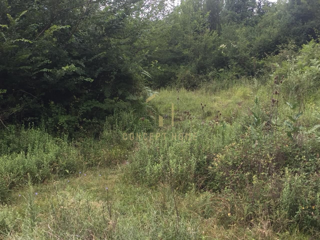 Terreno in vendita a Linzë, Tirana - €90.000 | 1200 m²