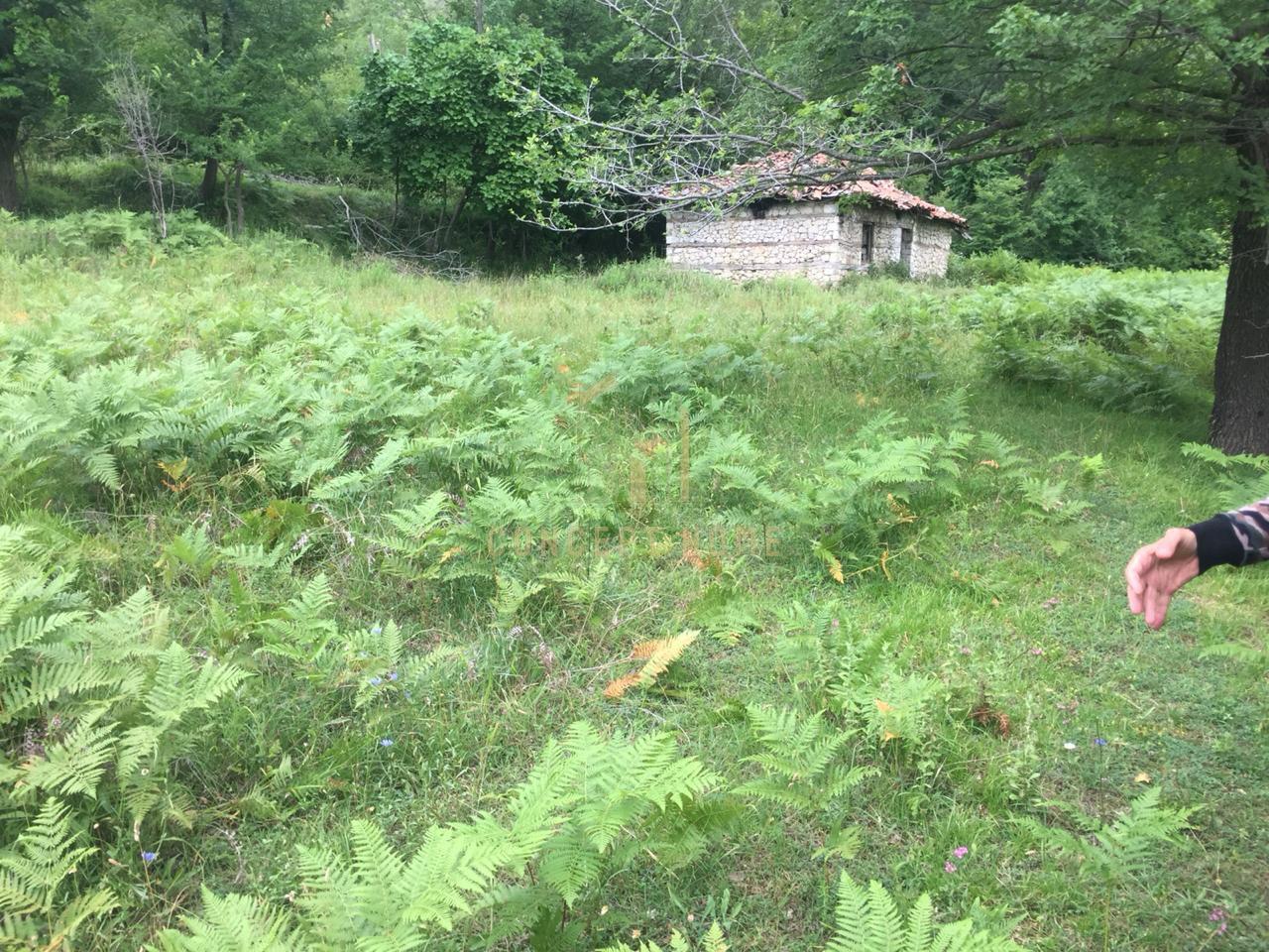 Terreno in vendita a Linzë, Tirana - €90.000 | 1200 m²