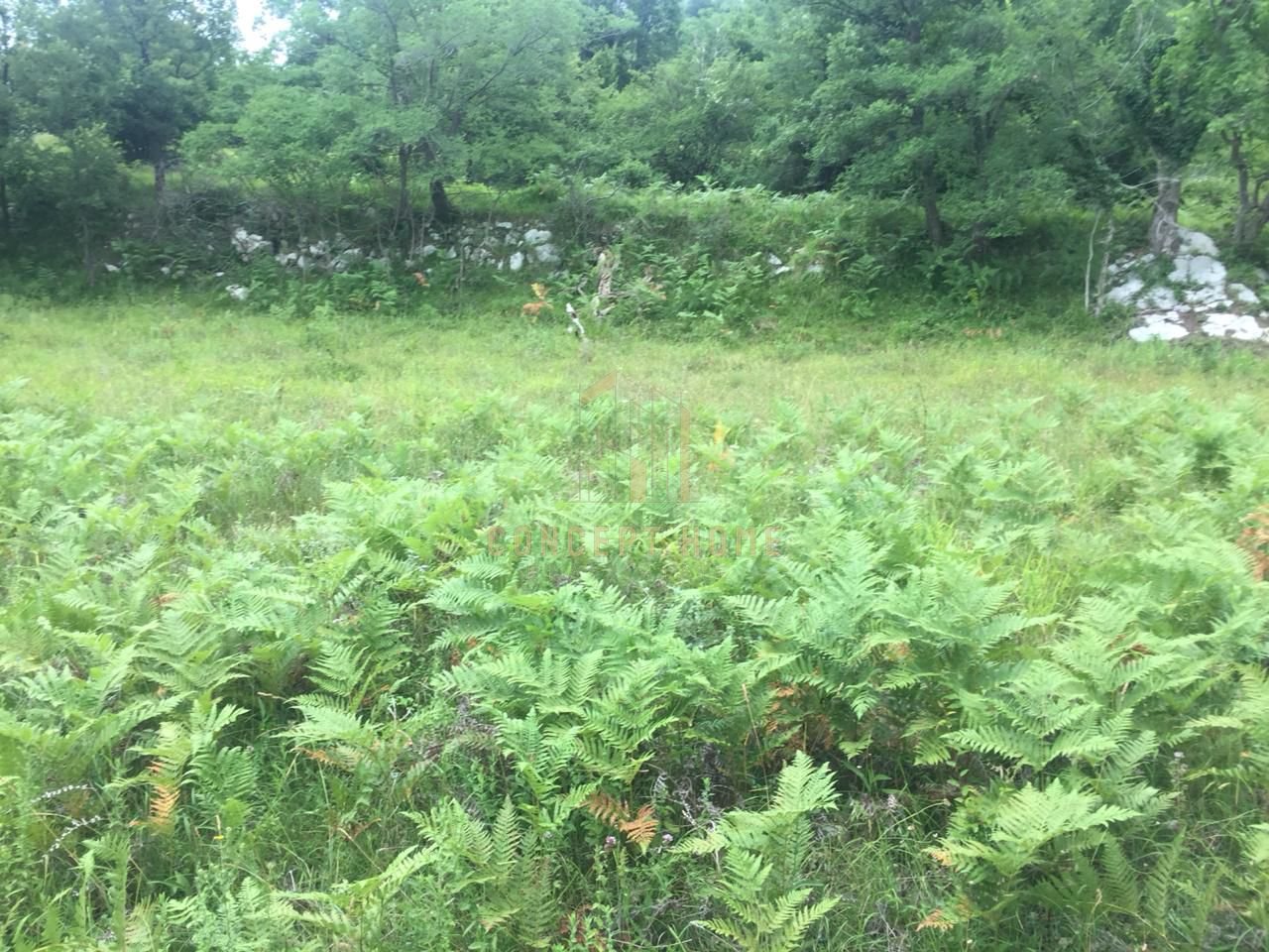 Terreno in vendita a Linzë, Tirana - €90.000 | 1200 m²