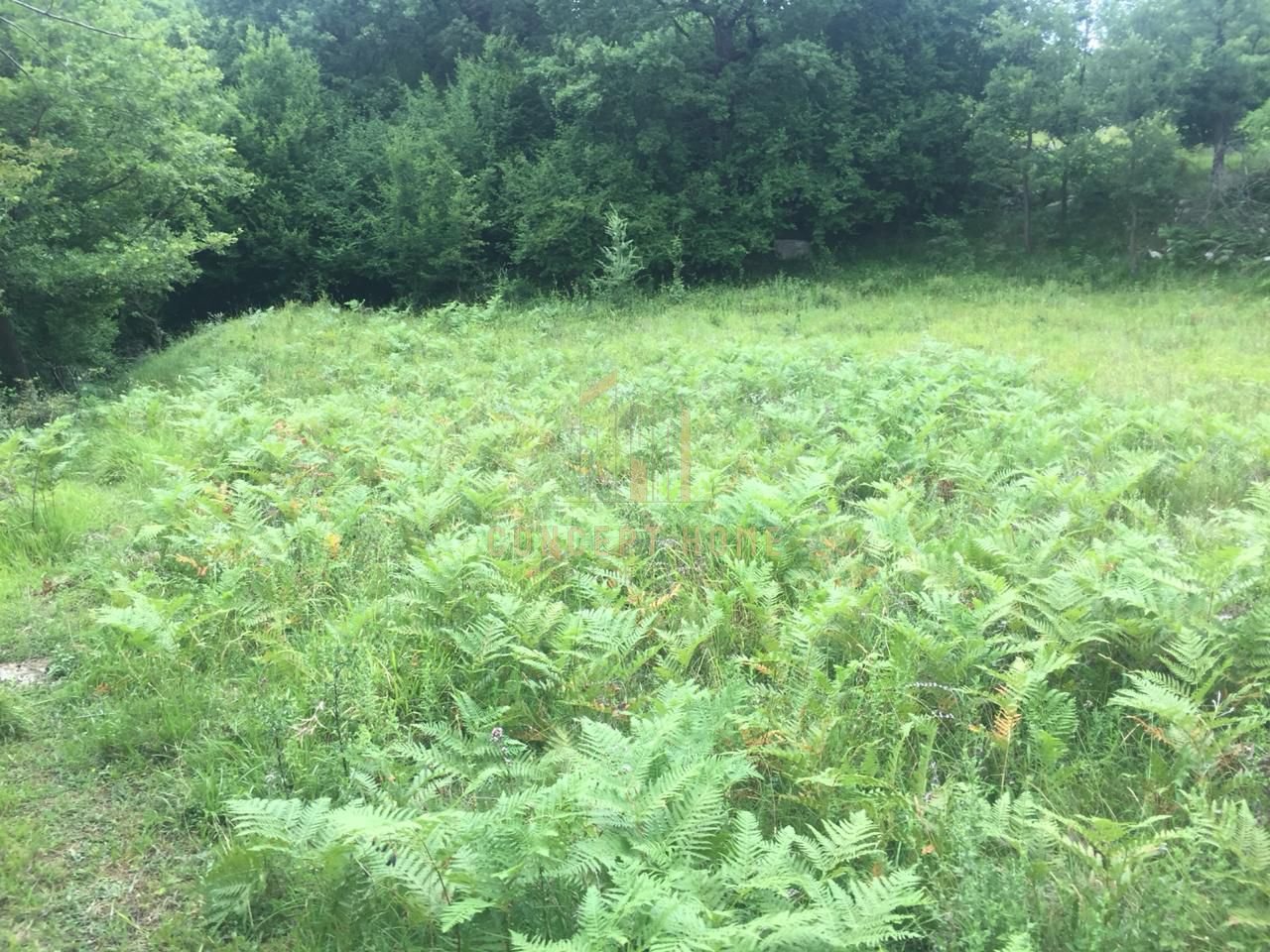 Terreno in vendita a Linzë, Tirana - €90.000 | 1200 m²