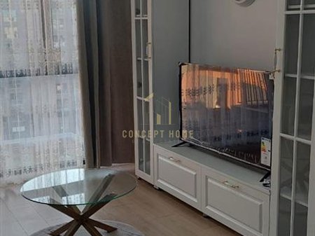 Appartamento 1+1 in affitto a Porcelan (Asl)