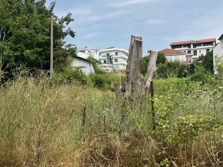 Land for rent in New Sauk