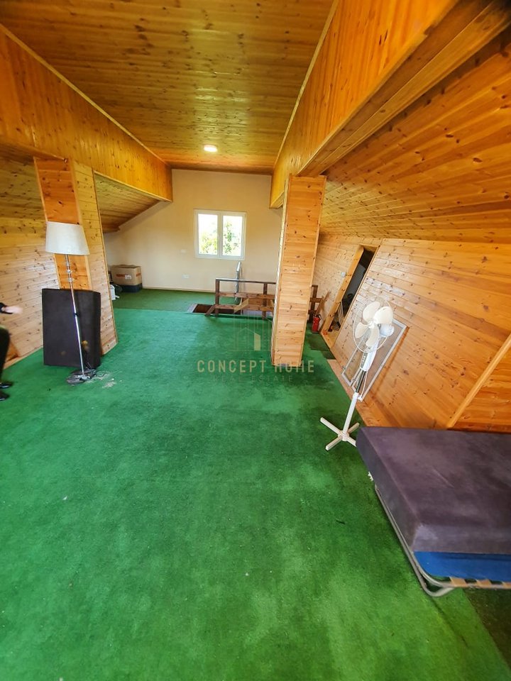 SHITET VILE NE PEZE TE VOGEL.