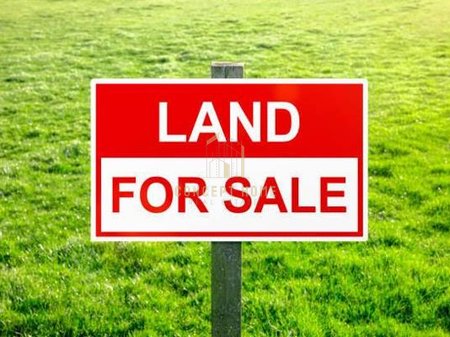 Shitet toke ne Kamez.