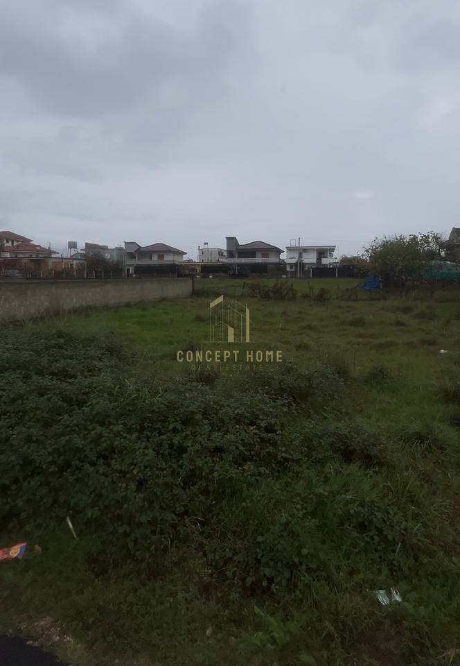 Shitet toke ne Kamez.