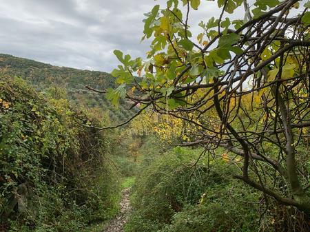 Shitet toke ne Dajt + Shtepi te Vjeter