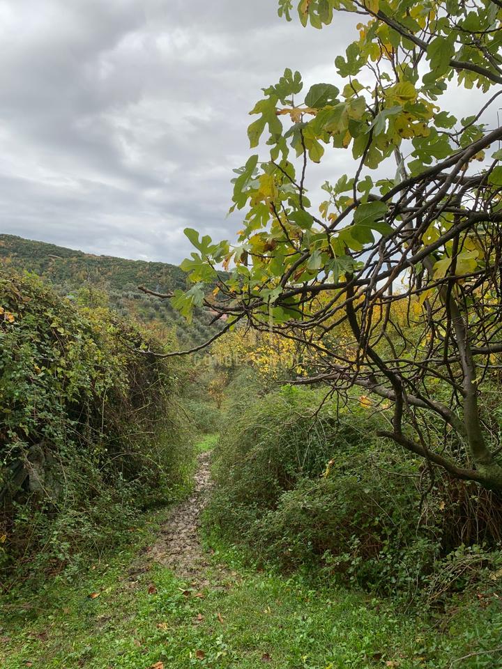 Shitet toke ne Dajt + Shtepi te Vjeter