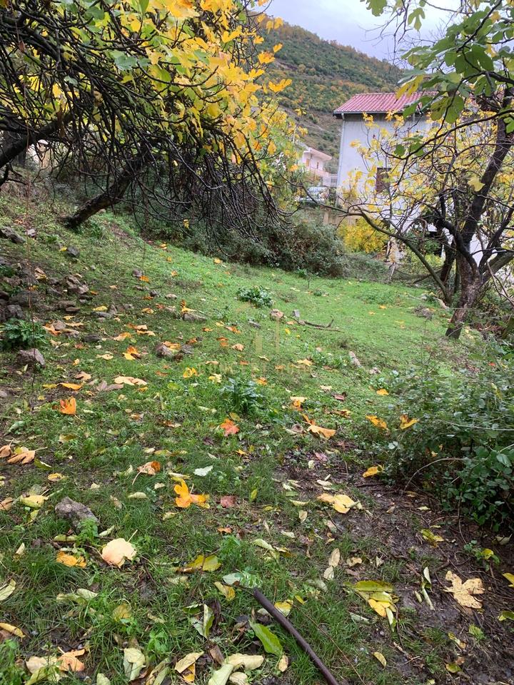 Shitet toke ne Dajt + Shtepi te Vjeter