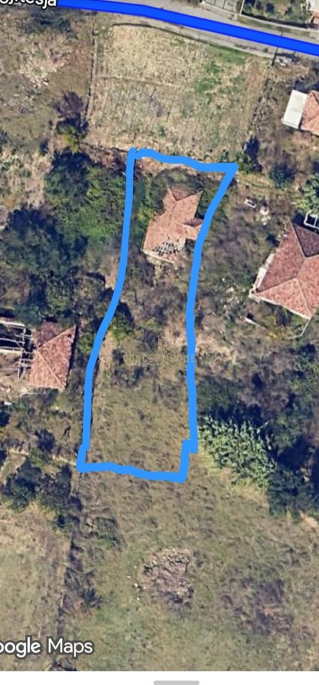 Shitet Toke ne Kashar, Siperfaqe 800m2