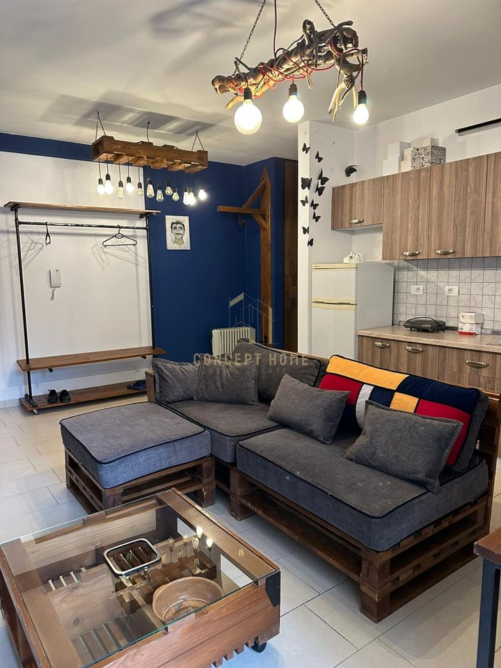 1+1 Apartment for rent near the Botanical Garden