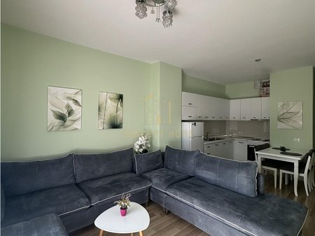 1+1 apartment for rent in the Center