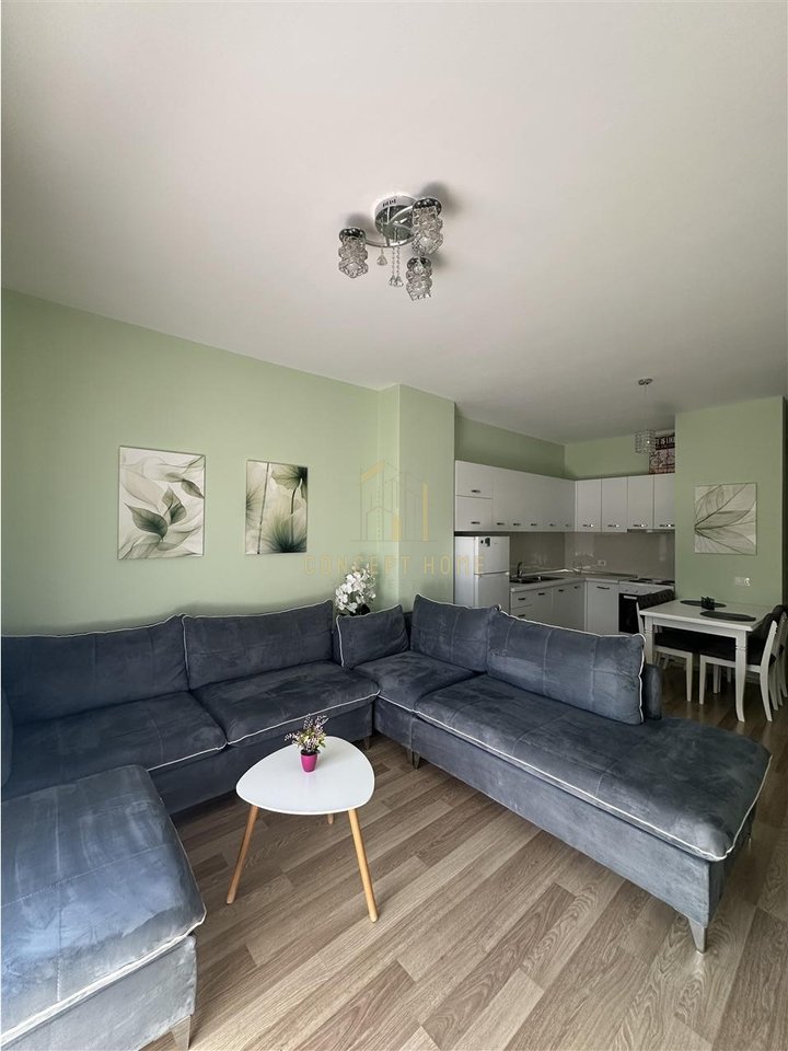 1+1 apartment for rent in the Center