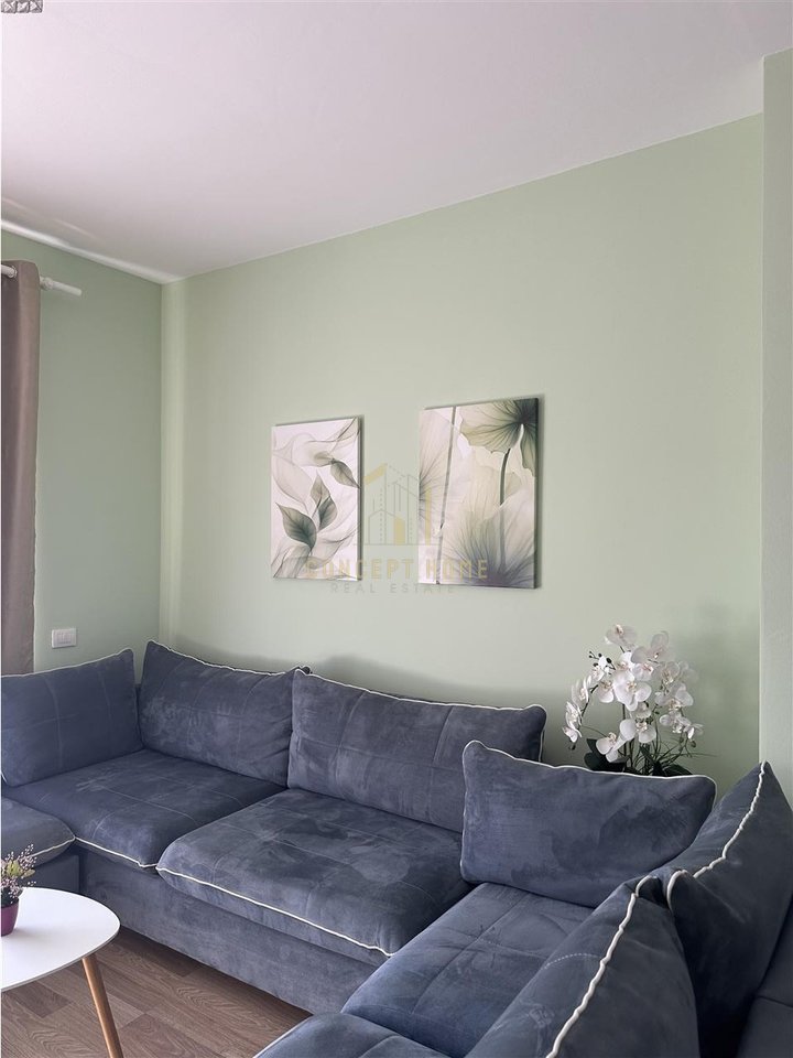1+1 apartment for rent in the Center