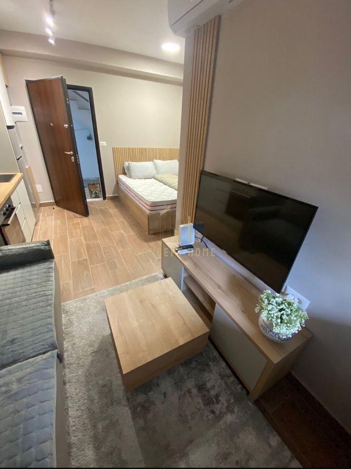 Studio apartment 1+1 for rent near Dinamo Stadium
